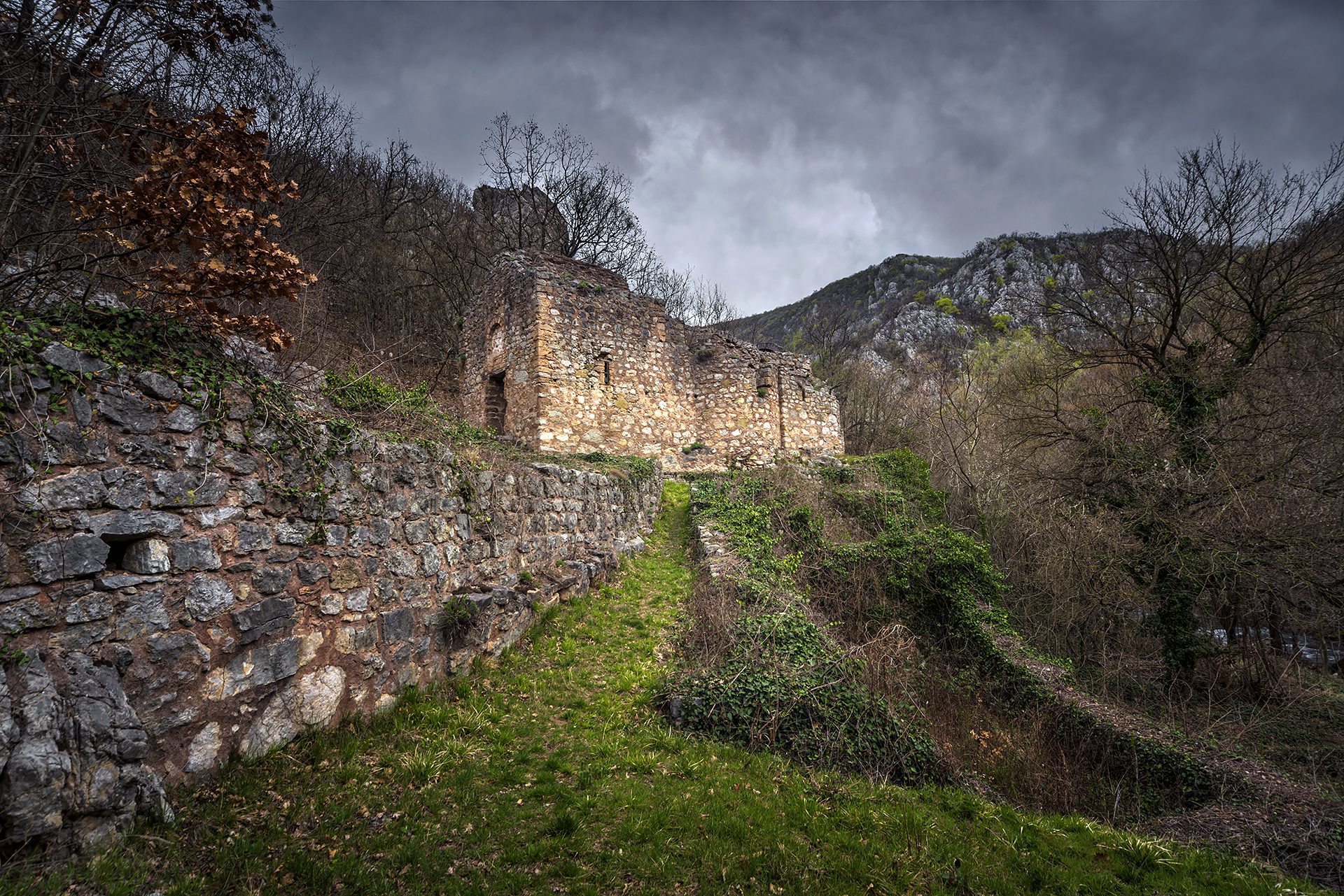 Манастир Марије Петрушке
