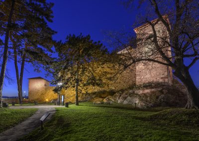 Пиротски град