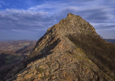Острвица