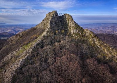 Острвица